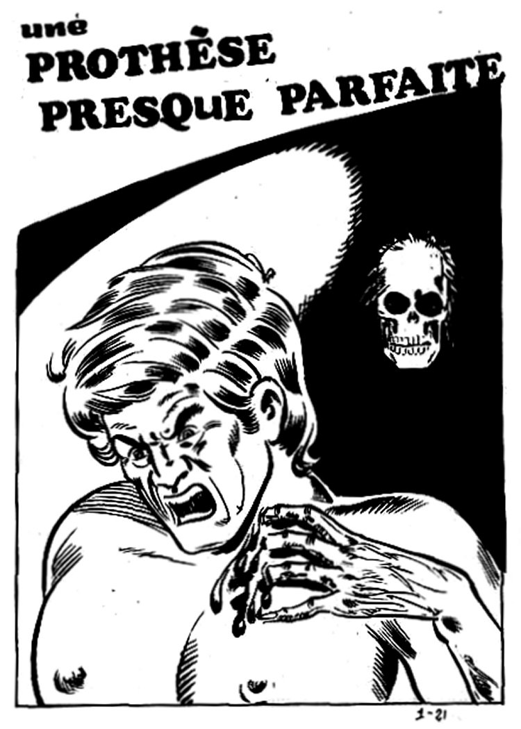 Sylvia N°21 - Une prothése presque parfaite numero d'image 1