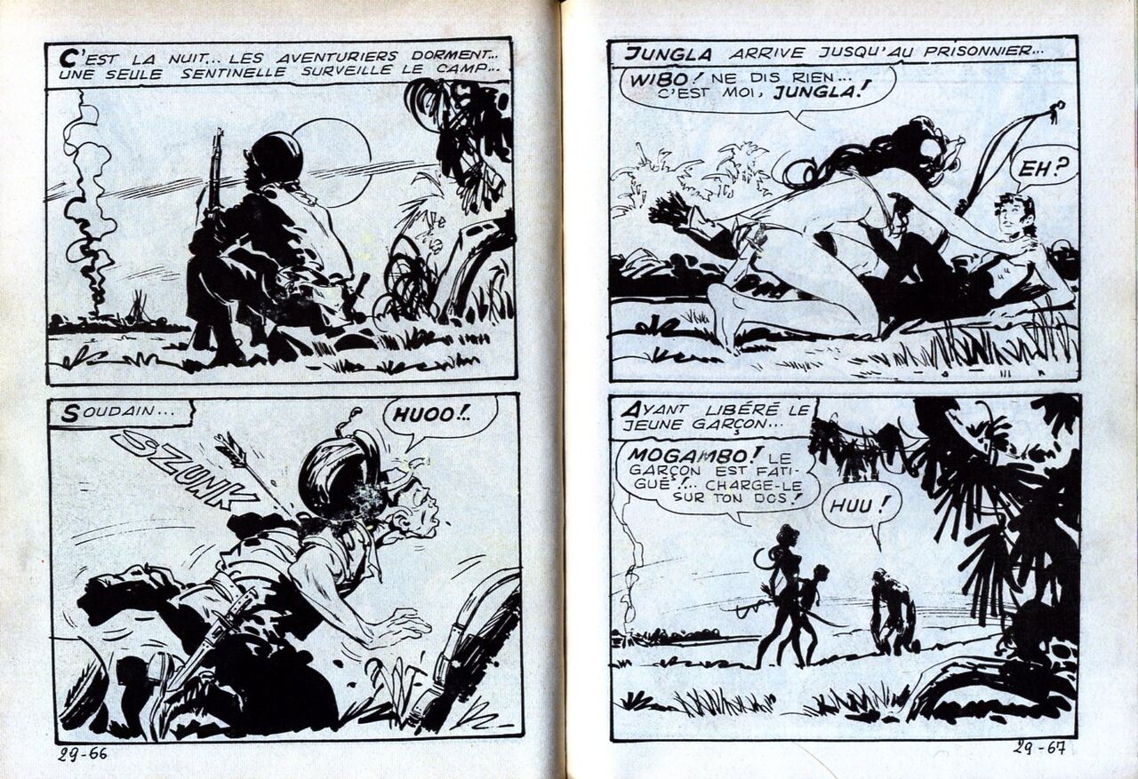 PFA - Jungla 29 La mort jaune numero d'image 35