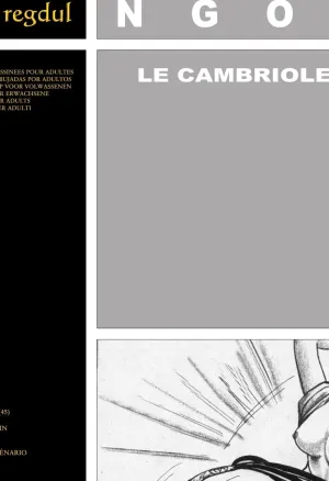 Kim Ngoc - Le Cambrioleur
