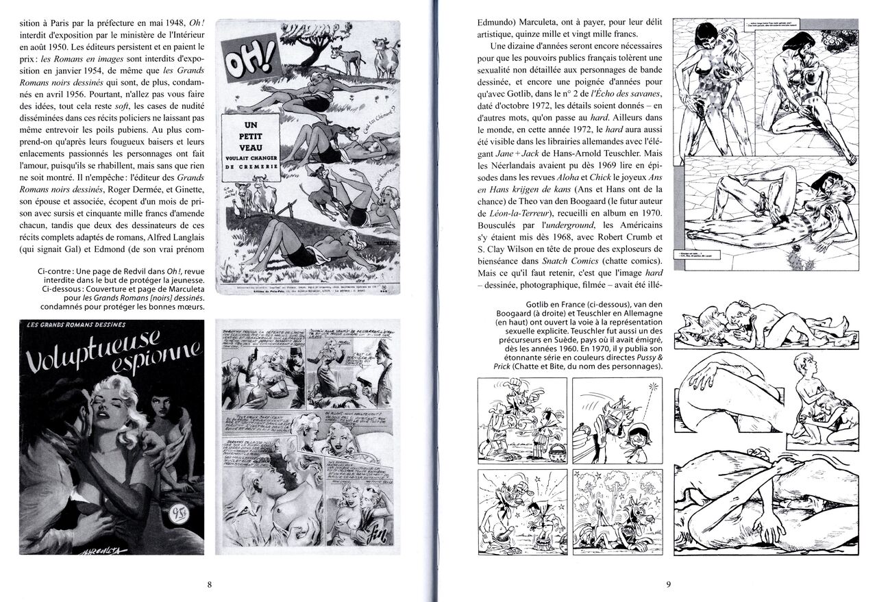 Panorama de la bande dessinée érotique clandestine numero d'image 5