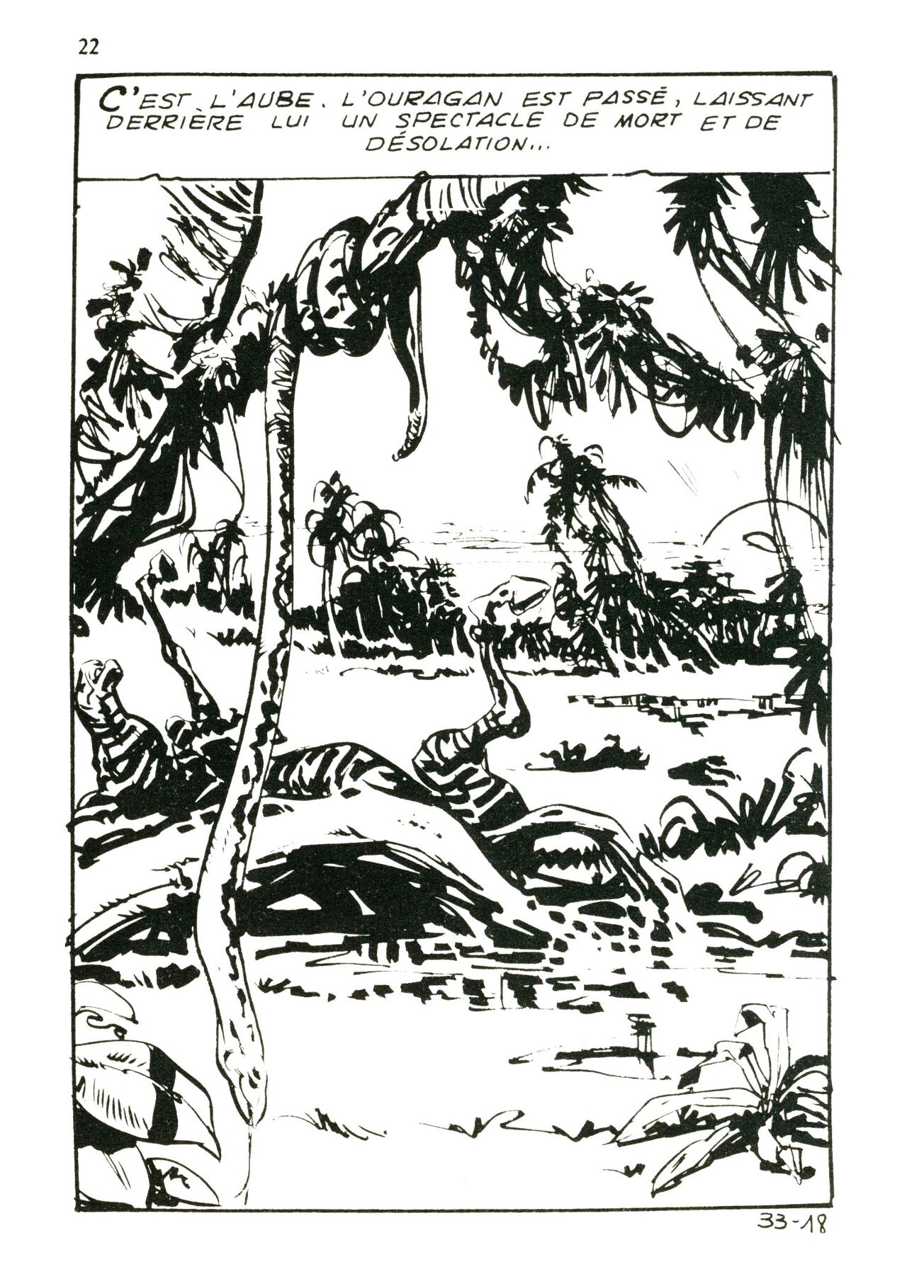 Jungla 33 - Le fils de Tschiambo numero d'image 20