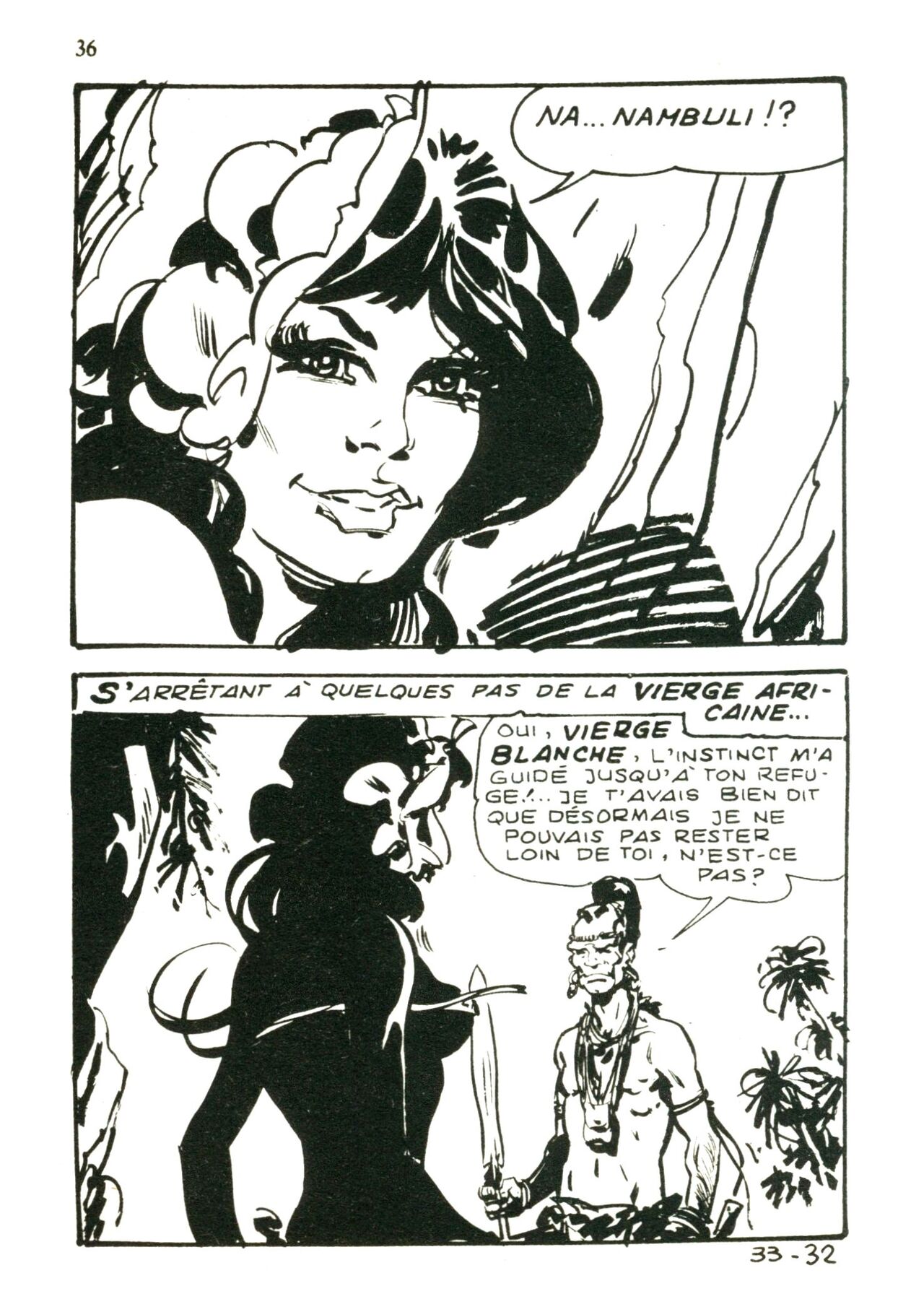 Jungla 33 - Le fils de Tschiambo numero d'image 33