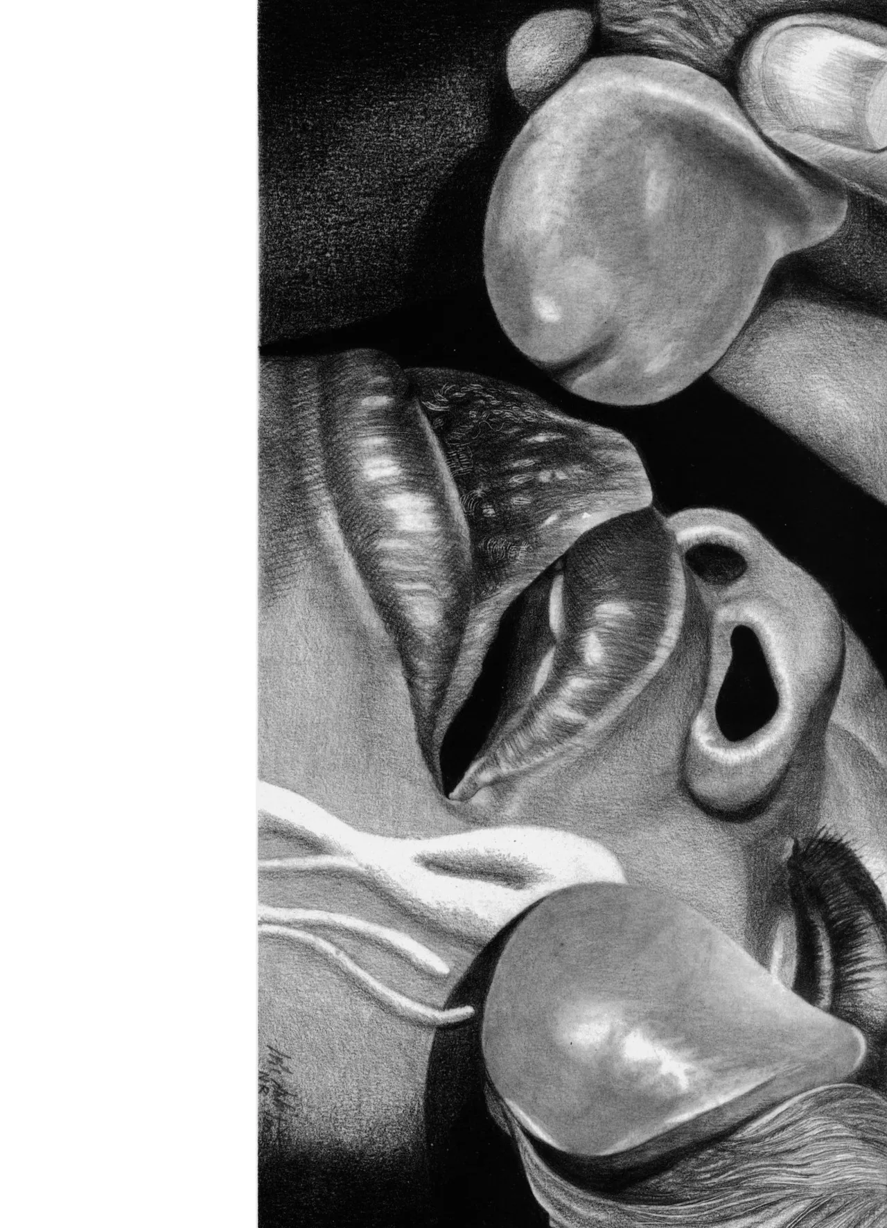 Loic Dubigeon - Dessins inedits numero d'image 31