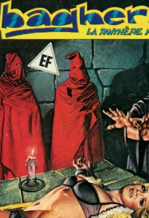 PFA - Elvifrance - Baghera 28 Une église par très catholique