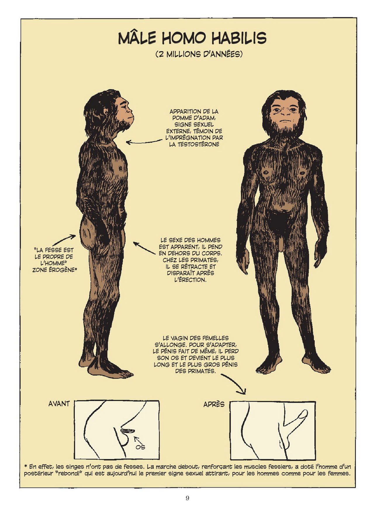 Sexe Story / Une Histoire du Sexe numero d'image 9