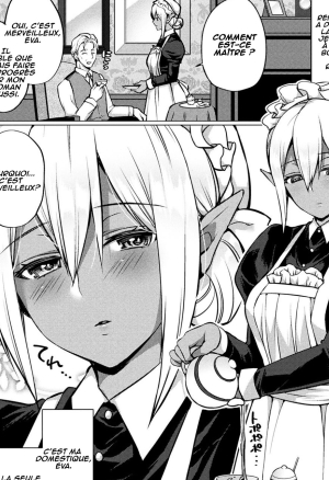 Dark Elf no Koi Monogatari  histoire damour dune elfe noire.